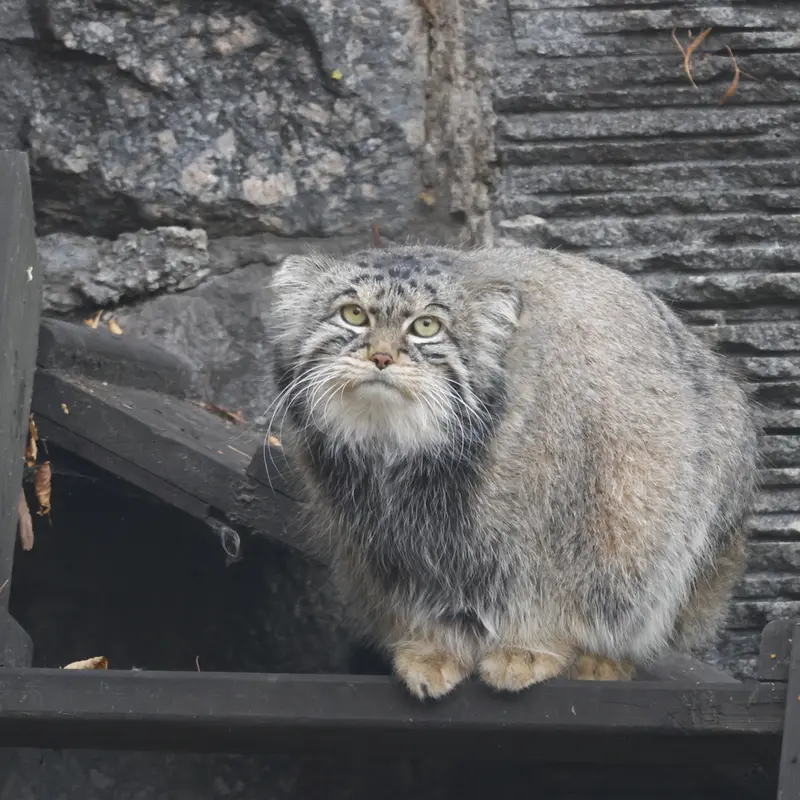 A photograph of Timofey in Moscow zoo