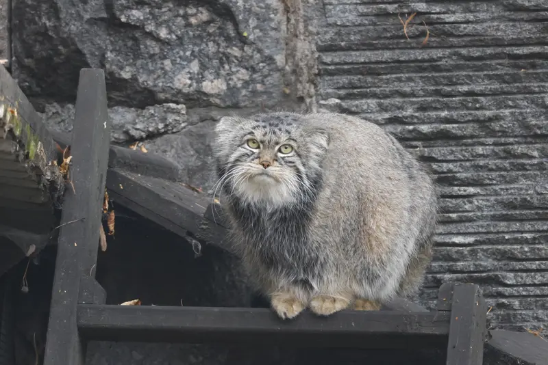 A photograph of Timofey in Moscow zoo