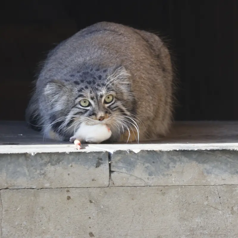 A photograph of Timofey in Moscow zoo