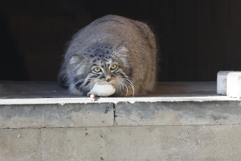 A photograph of Timofey in Moscow zoo