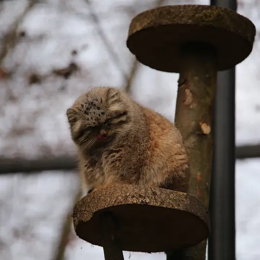 A photograph of Manuel in Gdansk Zoo