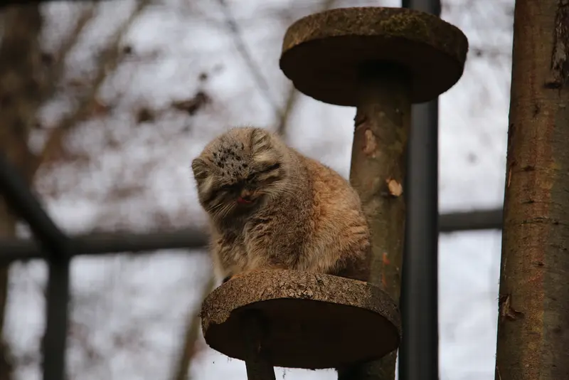 A photograph of Manuel in Gdansk Zoo
