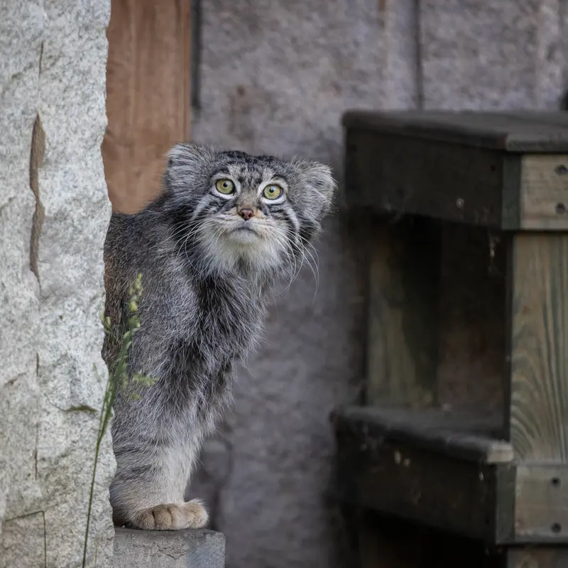 A photograph of Timofey in Moscow zoo