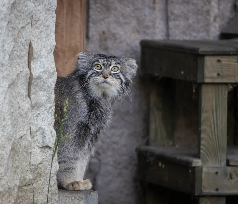 A photograph of Timofey in Moscow zoo
