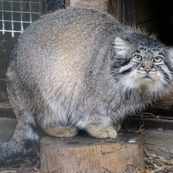 A photograph of Bjorn in Riga Zoo