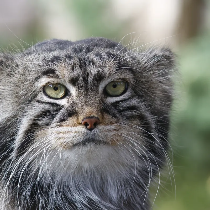 A photograph of Timofey in Moscow zoo