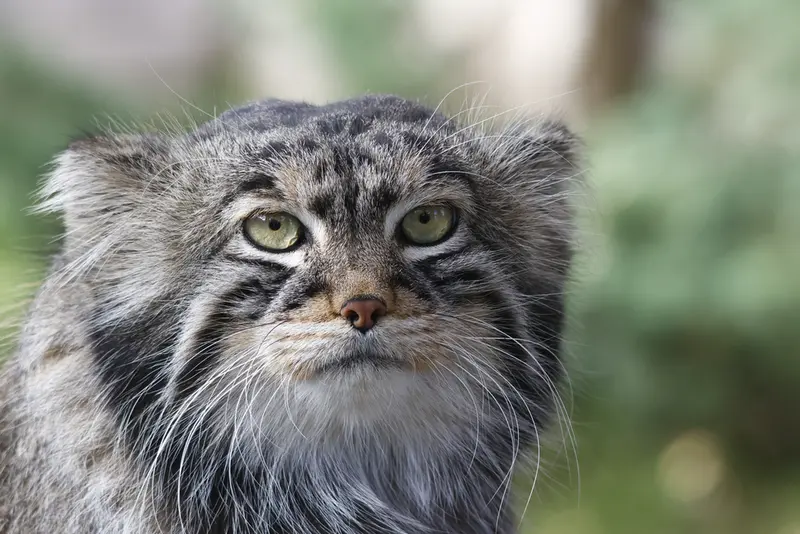 A photograph of Timofey in Moscow zoo