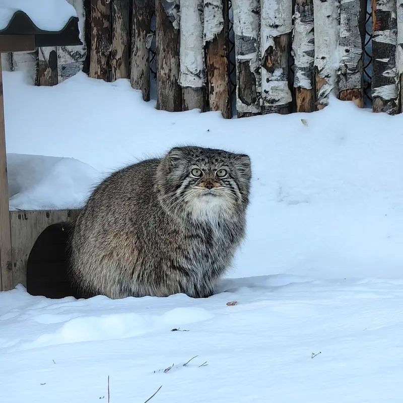 A photograph of Eve in Novosibirsk Zoo