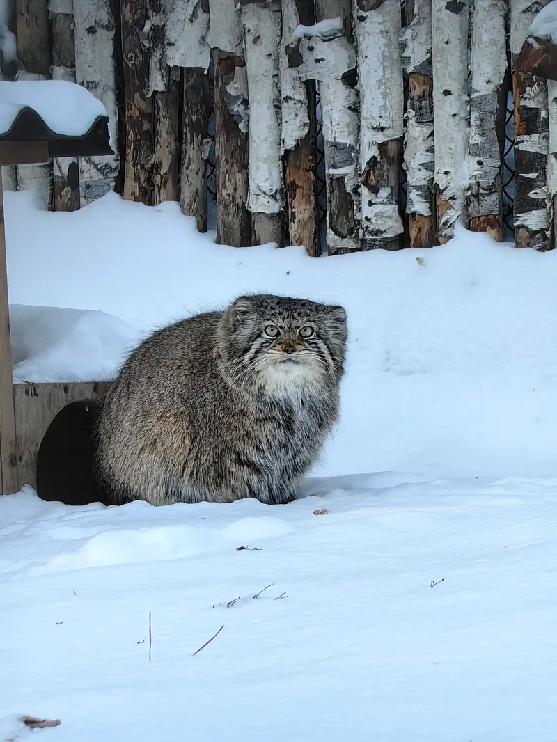A photograph of Eve in Novosibirsk Zoo
