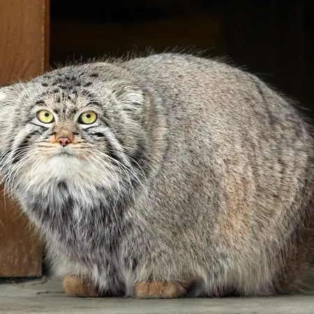 A photograph of Timofey in Moscow zoo