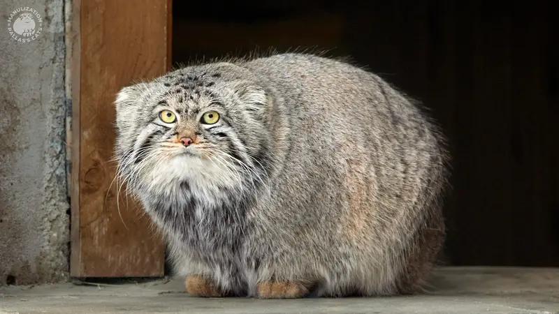 A photograph of Timofey in Moscow zoo