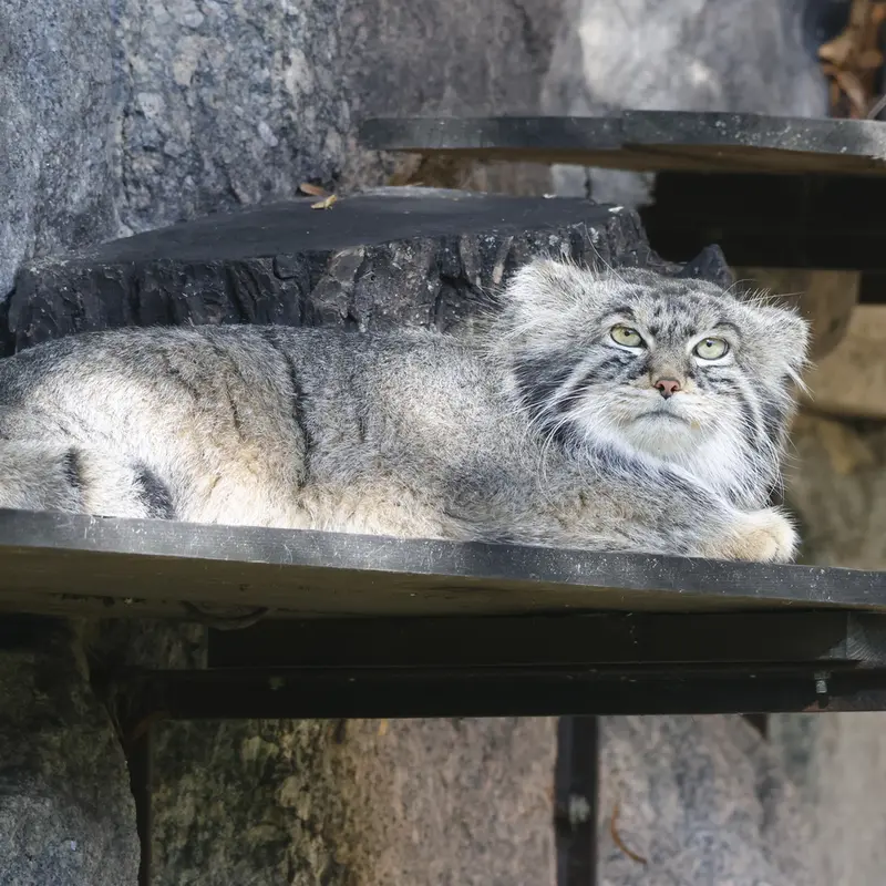 A photograph of Timofey in Moscow zoo