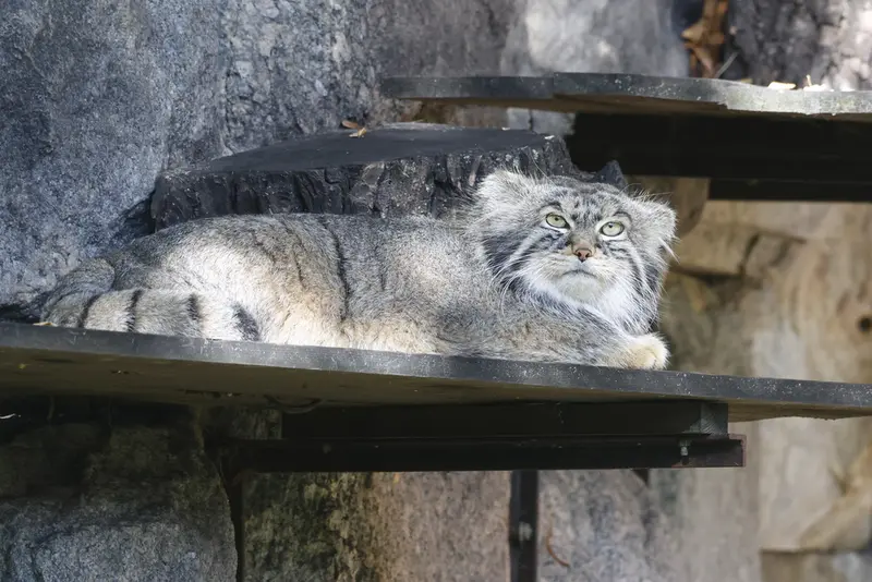 A photograph of Timofey in Moscow zoo