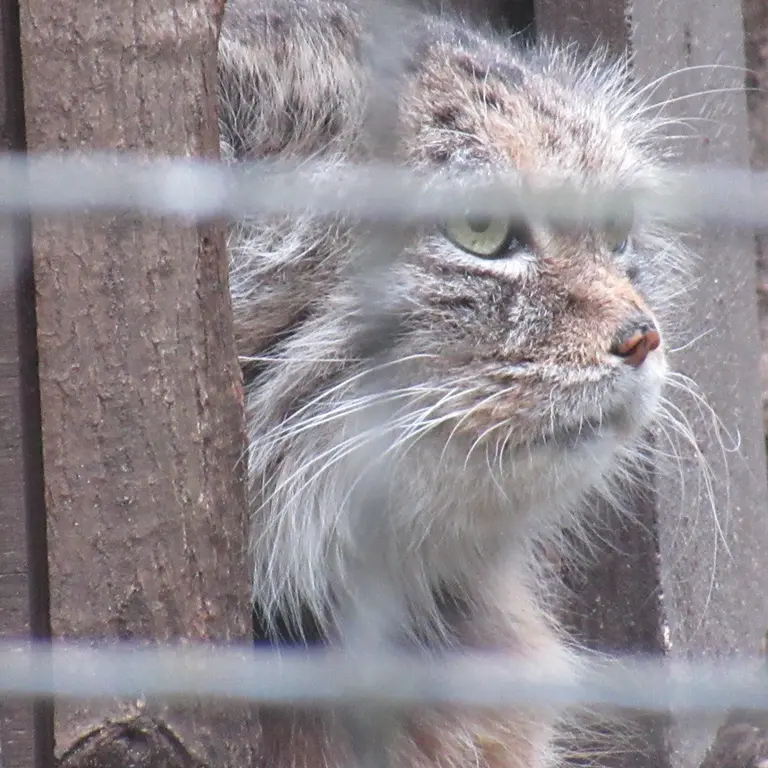 A photograph of Jessie in Warsaw Zoo