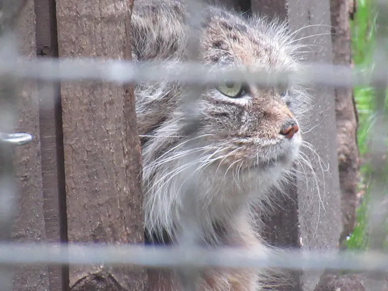 A photograph of Jessie in Warsaw Zoo