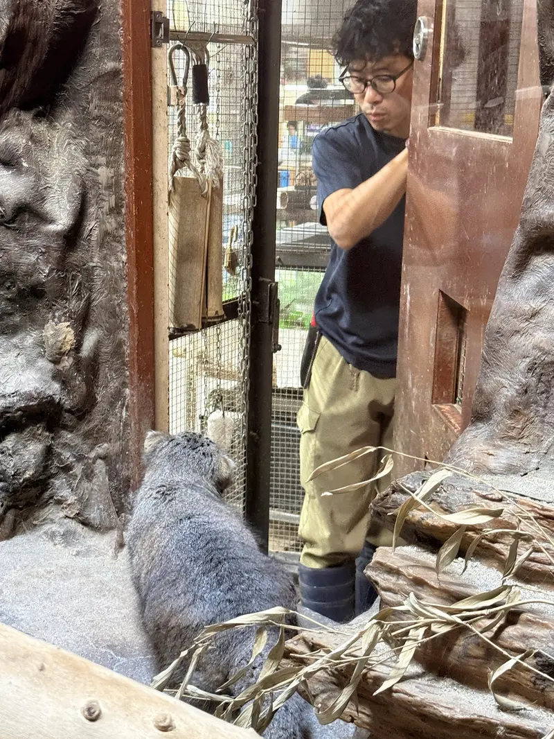 A photograph of Klyon in Ueno Zoological Gardens