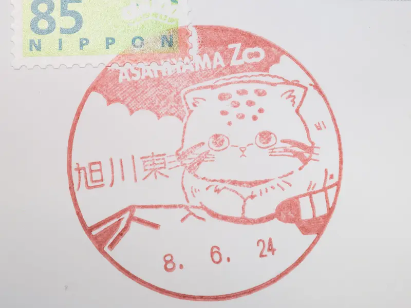 A photograph of a Pallas's cat in Asahiyama Zoo