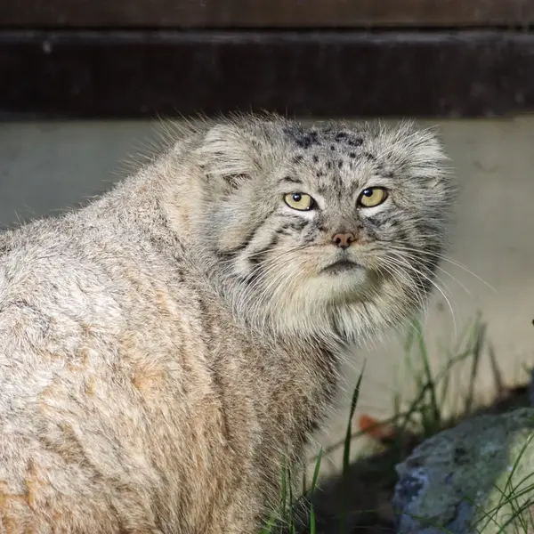 A photograph of Manuel in Gdansk Zoo