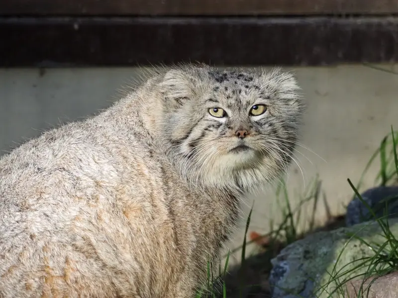 A photograph of Manuel in Gdansk Zoo