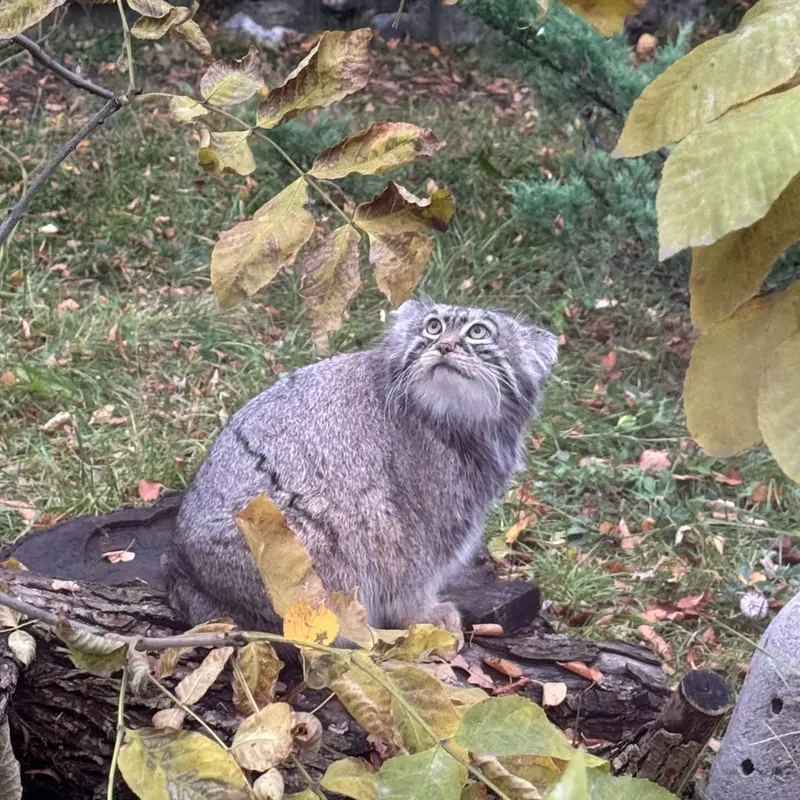 A photograph of Timofey in Moscow zoo