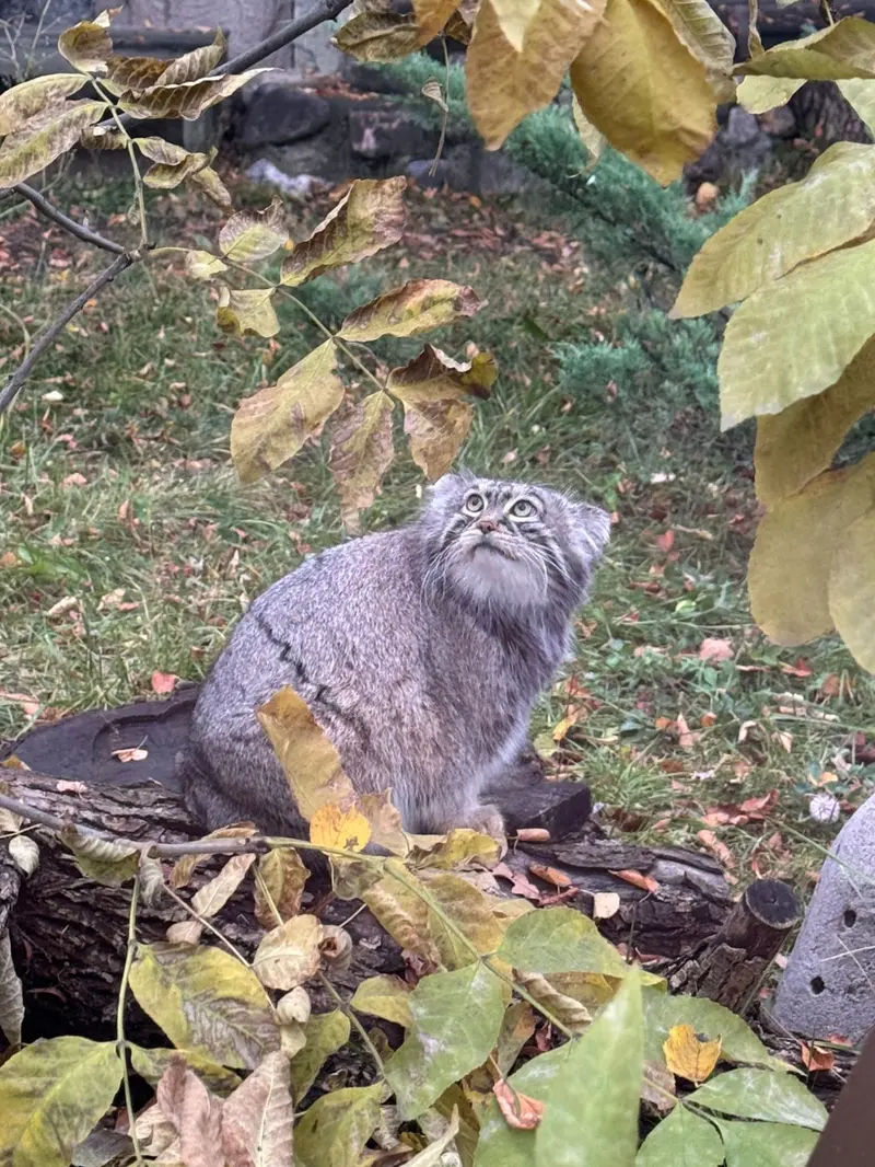 A photograph of Timofey in Moscow zoo