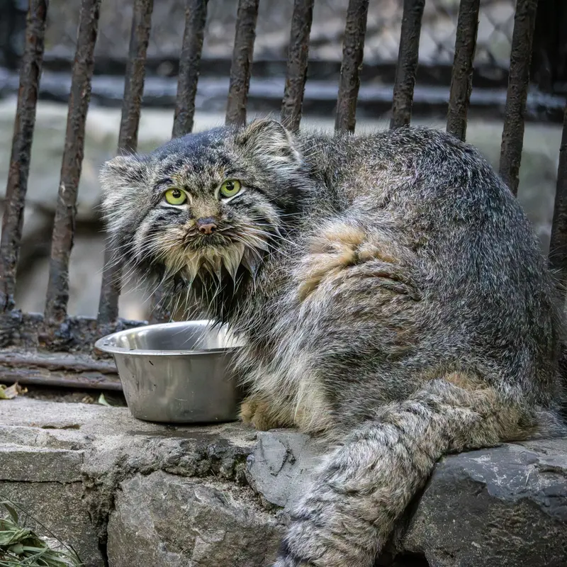 A photograph of Marik in Novosibirsk Zoo