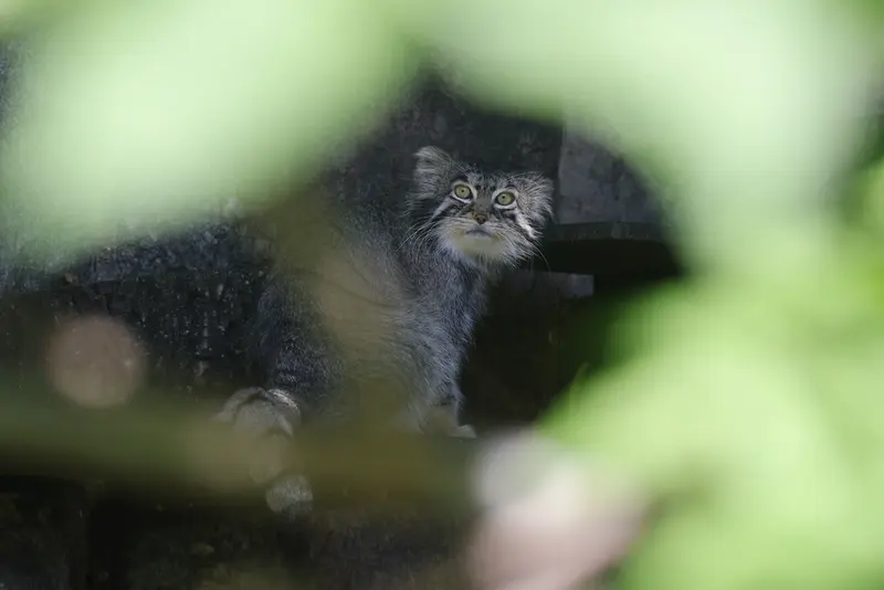 A photograph of Timofey in Moscow zoo