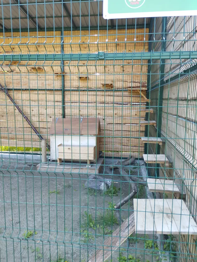 A photograph of Chip in Barnaul zoo “Lesnaya skazka”