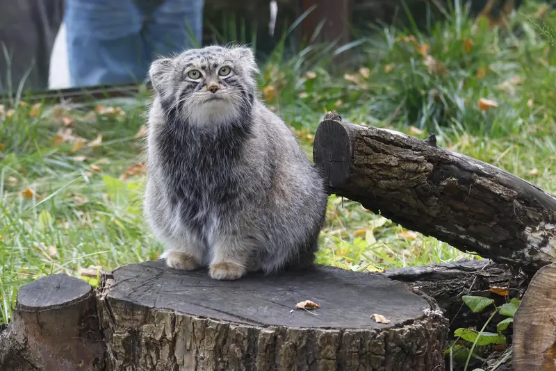 A photograph of Timofey in Moscow zoo