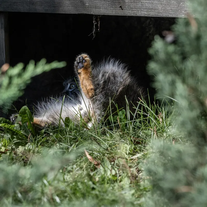 A photograph of Timofey in Moscow zoo