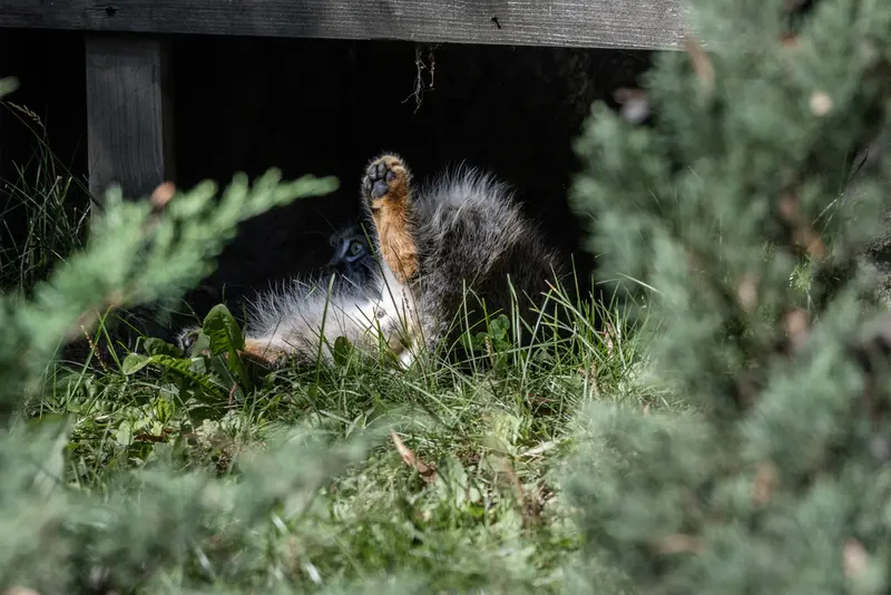 A photograph of Timofey in Moscow zoo