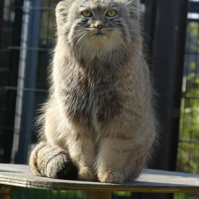 A photograph of Aaron in Bio-Topia Dunkerque