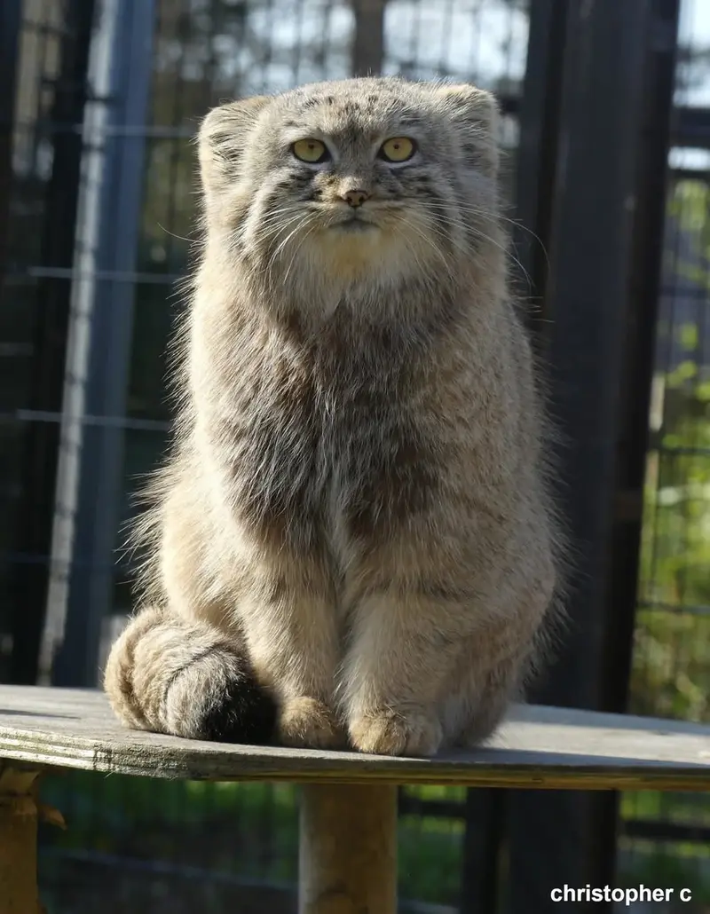 A photograph of Aaron in Bio-Topia Dunkerque