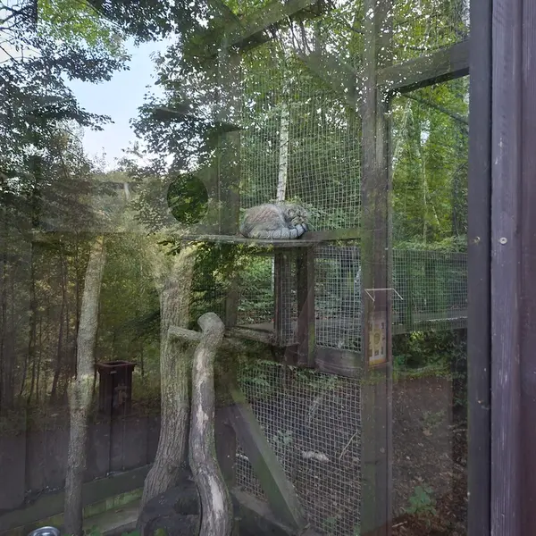 A photograph of Aysen in Košice Zoo