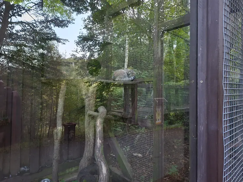 A photograph of Aysen in Košice Zoo