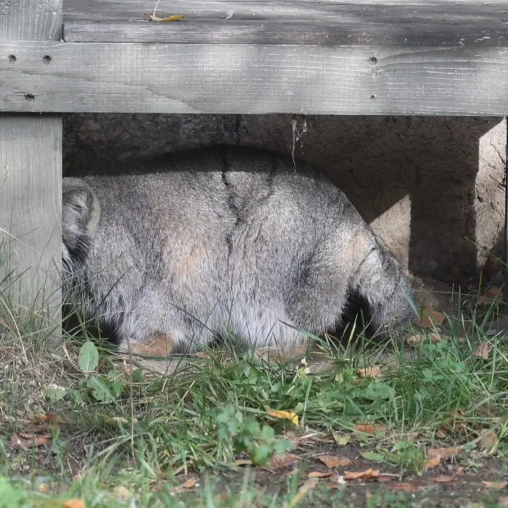 A photograph of Timofey in Moscow zoo