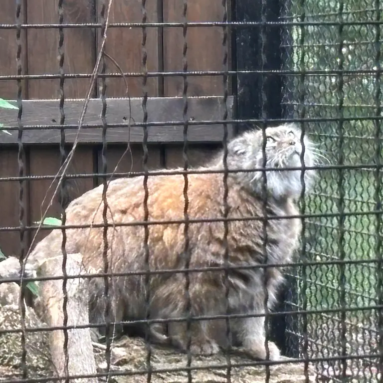 A photograph of Jessie in Warsaw Zoo