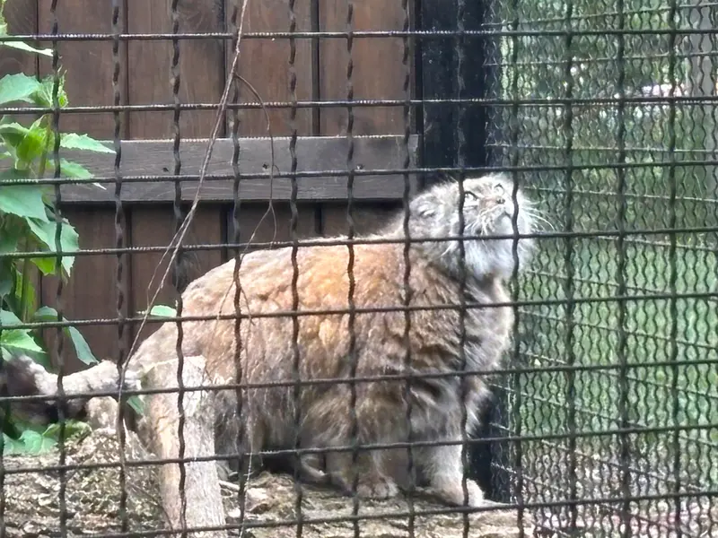 A photograph of Jessie in Warsaw Zoo