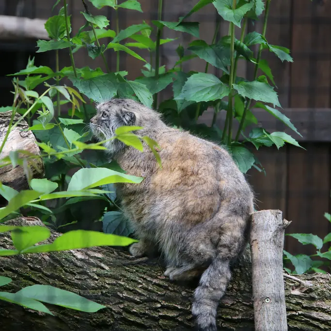 A photograph of Jessie in Warsaw Zoo