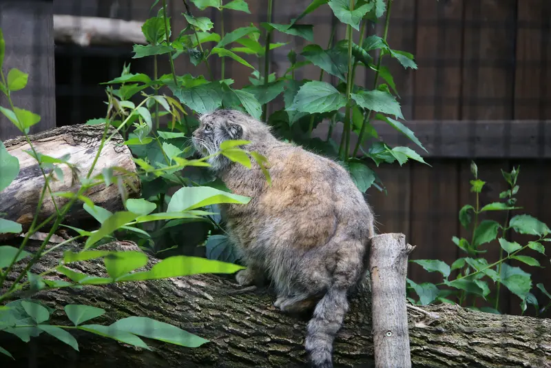 A photograph of Jessie in Warsaw Zoo