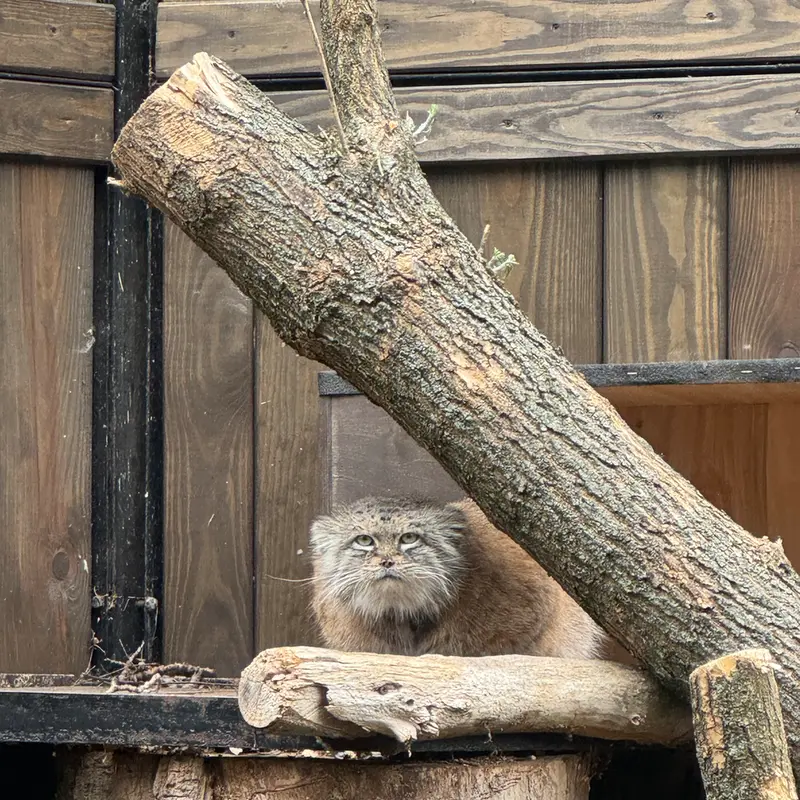 A photograph of Jessie in Warsaw Zoo