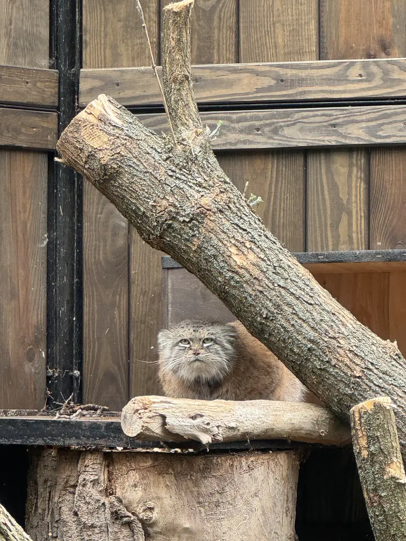 A photograph of Jessie in Warsaw Zoo
