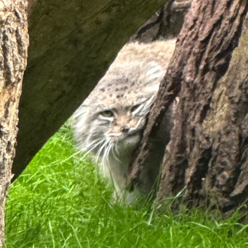 A photograph of Jessie in Warsaw Zoo
