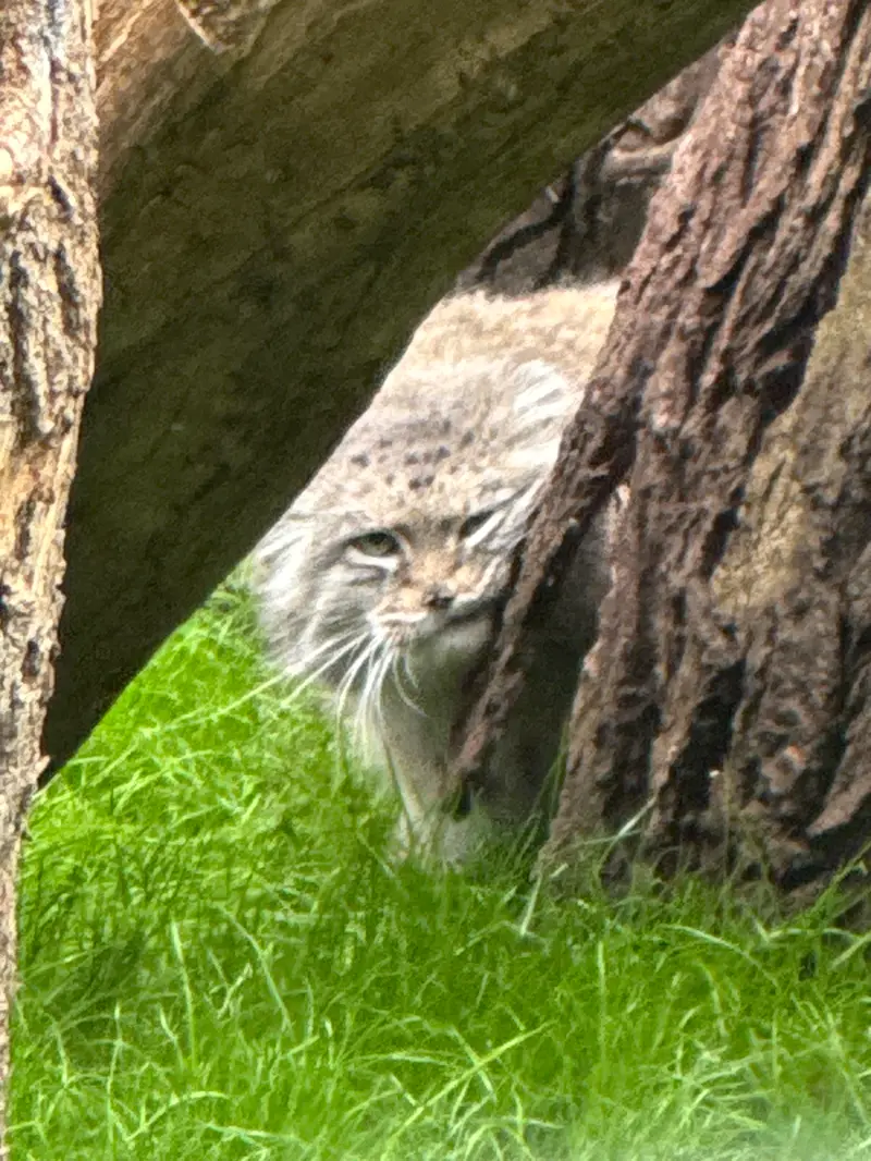 A photograph of Jessie in Warsaw Zoo