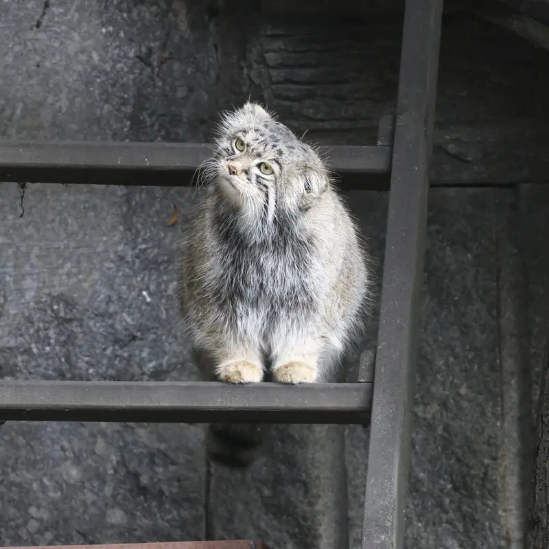A photograph of Timofey in Moscow zoo