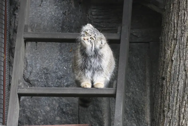 A photograph of Timofey in Moscow zoo