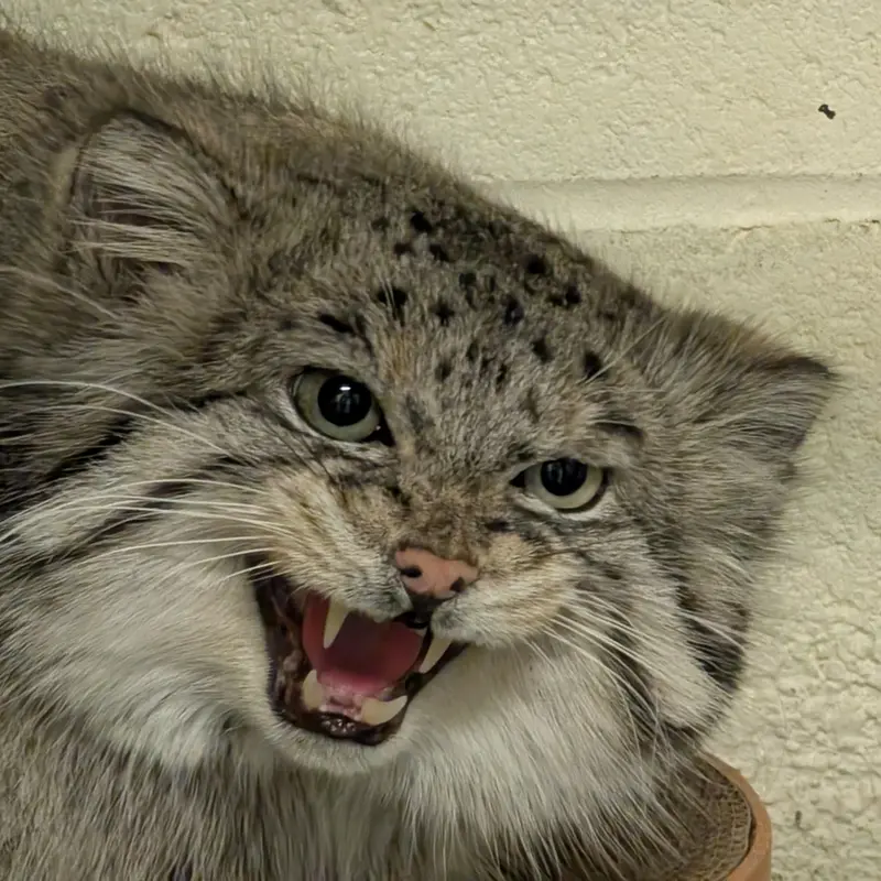 A photograph of Dean in Oglebay Good Zoo