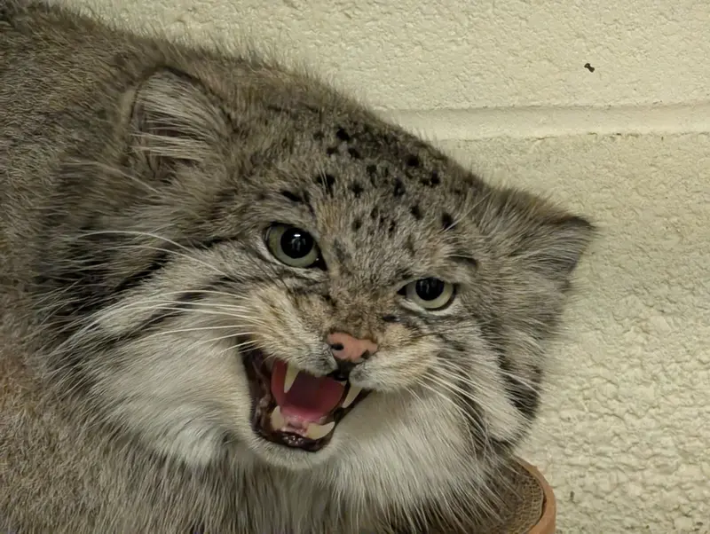 A photograph of Dean in Oglebay Good Zoo