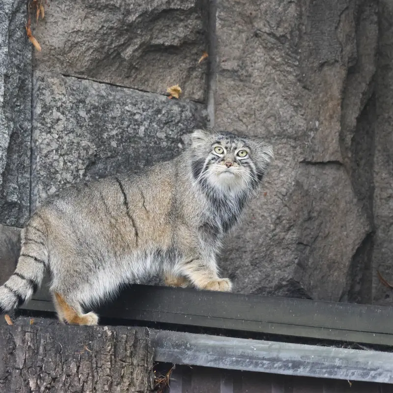 A photograph of Timofey in Moscow zoo