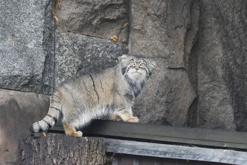 A photograph of Timofey in Moscow zoo